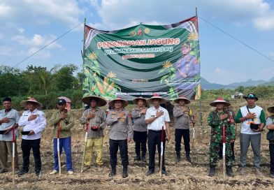 Wujud Dukungan Polri Pada Program Ketahanan Pangan, Wakapolres Bogor Hadiri Penanaman Jagung di Lahan Baku Sawah Desa Sirnasari