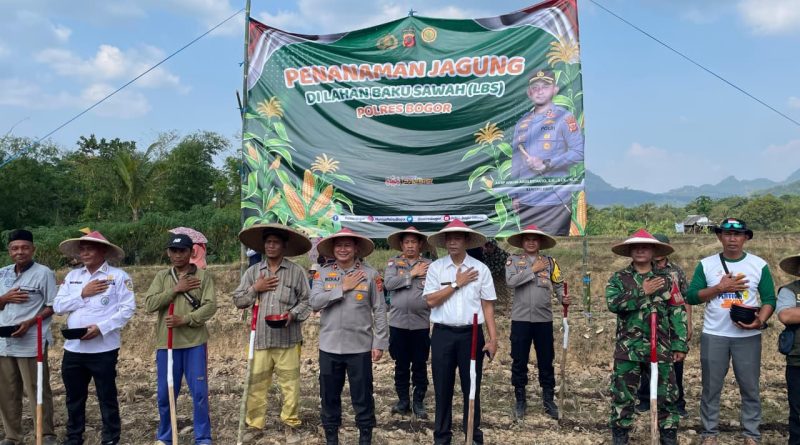 Wujud Dukungan Polri Pada Program Ketahanan Pangan, Wakapolres Bogor Hadiri Penanaman Jagung di Lahan Baku Sawah Desa Sirnasari