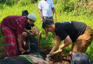 Bupati Bogor Rudy Susmanto Serahkan Hewan Kurban untuk BMSN, Sofwan Ali: Wujud Ukhuwah dan Kepedulian