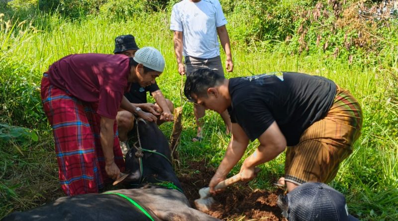 Bupati Bogor Rudy Susmanto Serahkan Hewan Kurban untuk BMSN, Sofwan Ali: Wujud Ukhuwah dan Kepedulian