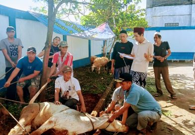 Perkuat Solidaritas Anggota dan Masyarakat Sekitar, PWI Kabupaten Sembelih Hewan Kurban