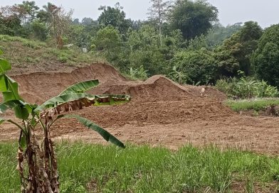 Diduga Lahan Milik Kementerian Kehutanan Diratakan Beko, APH Diminta Bongkar Dugaan Pelanggaran Pidana